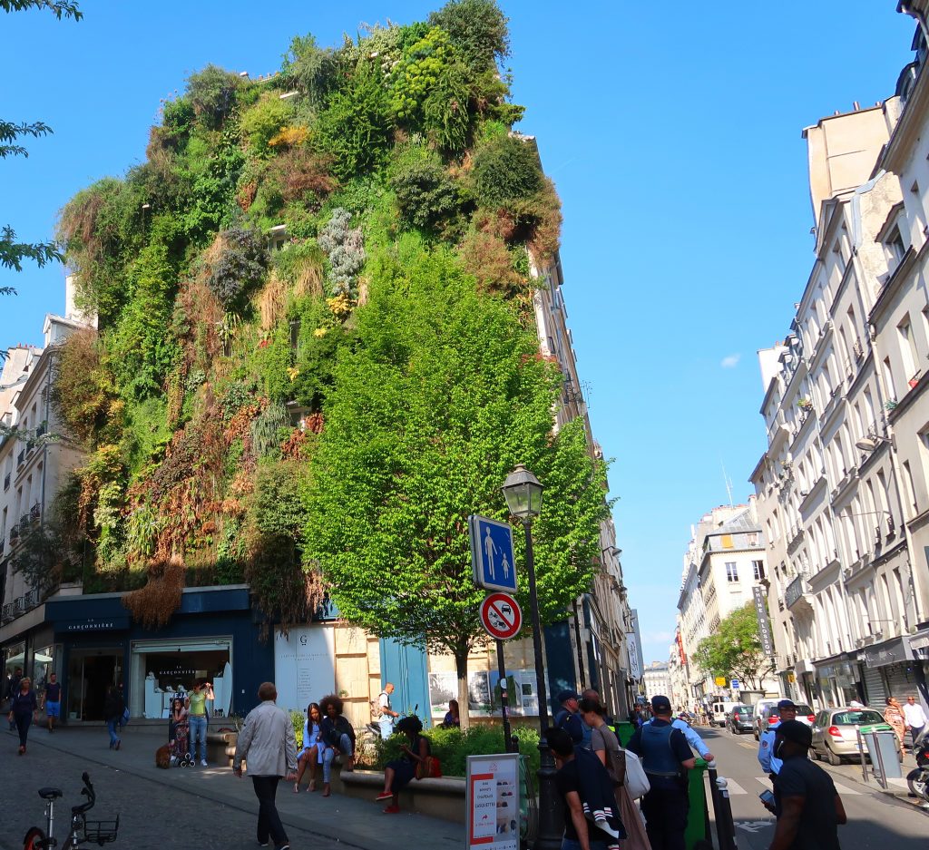 Future Travel to Paris' beautiful Oasis d'Aboukir