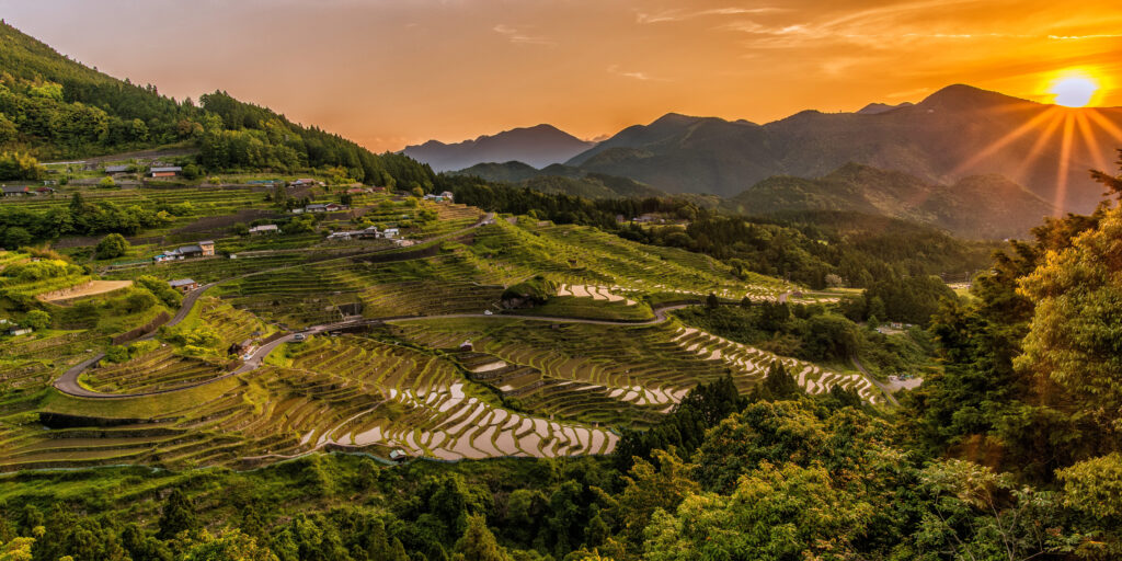 Rice field Maruyama Japan - Lighting our homes with LED lights developed from rice husks